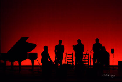 Concierto flamenco. Foto: Carlos Bouza